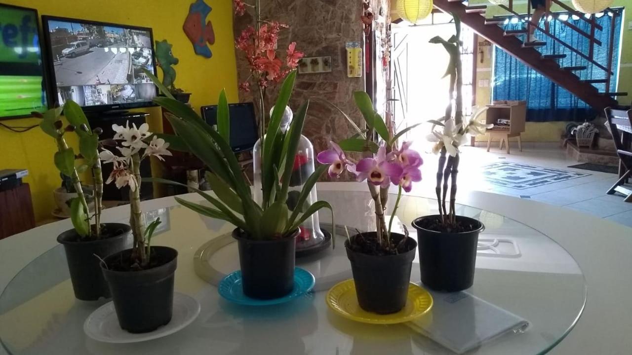 Pousada Enseada De ברטיוגה מראה חיצוני תמונה